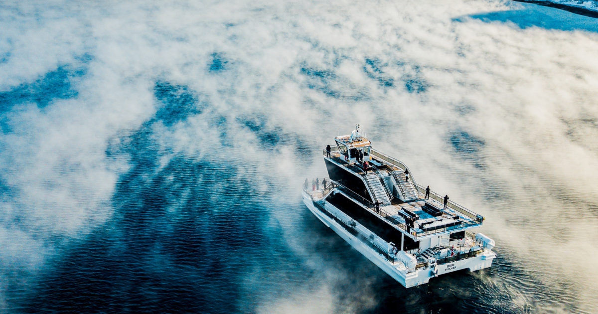 Tromsø Fjord Cruise & Wildlife boat tour Brim Explorer