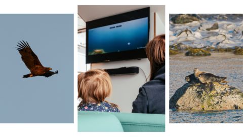 Fjord Wildlife Cruise2